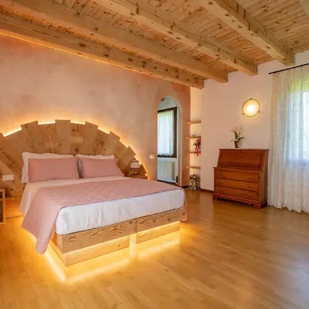 Gatto In Vigna Susegana