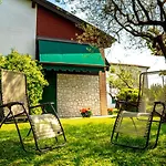Gatto In Vigna Susegana