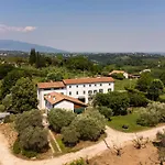Gatto In Vigna