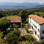 Gatto In Vigna