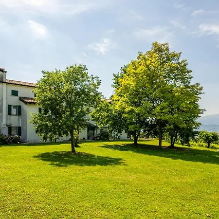 Gatto In Vigna * Susegana