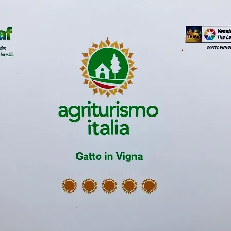 別荘 Gatto In Vigna *