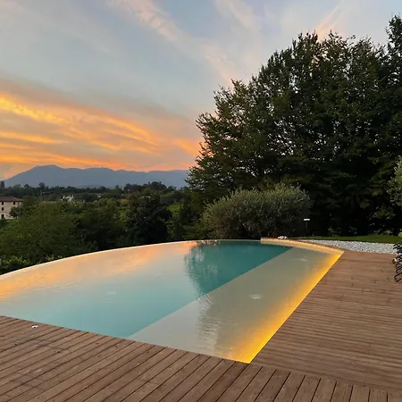 Gatto In Vigna * Susegana