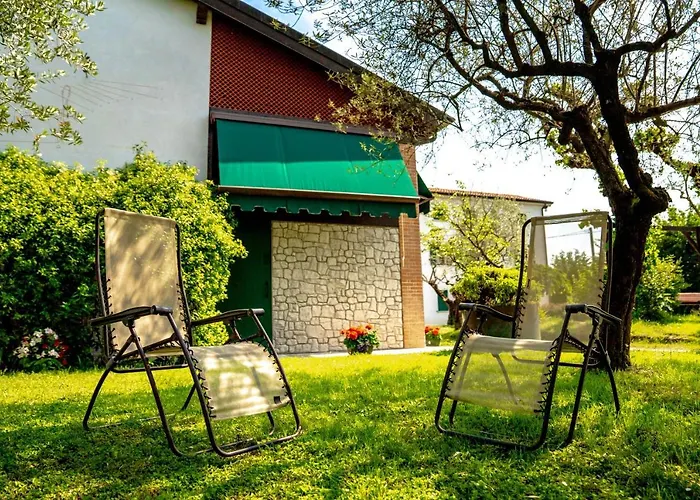 Gatto In Vigna Susegana