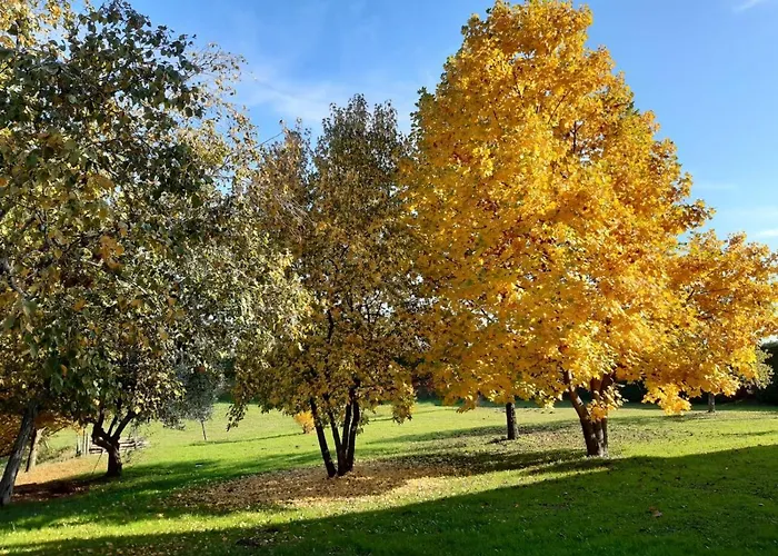 Gatto In Vigna Feriehus *
