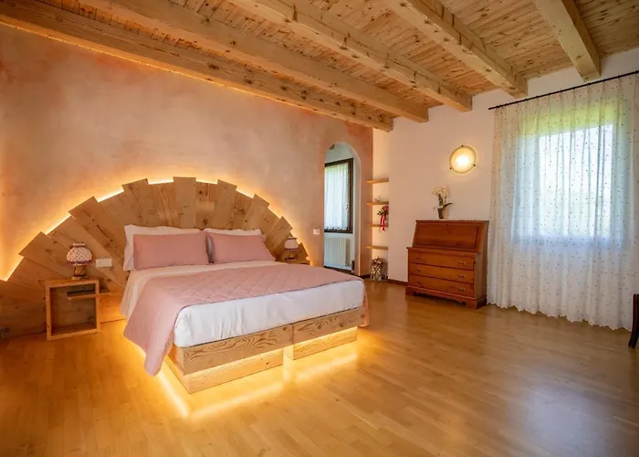 Gatto In Vigna Susegana