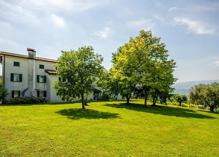 Gatto In Vigna * Susegana