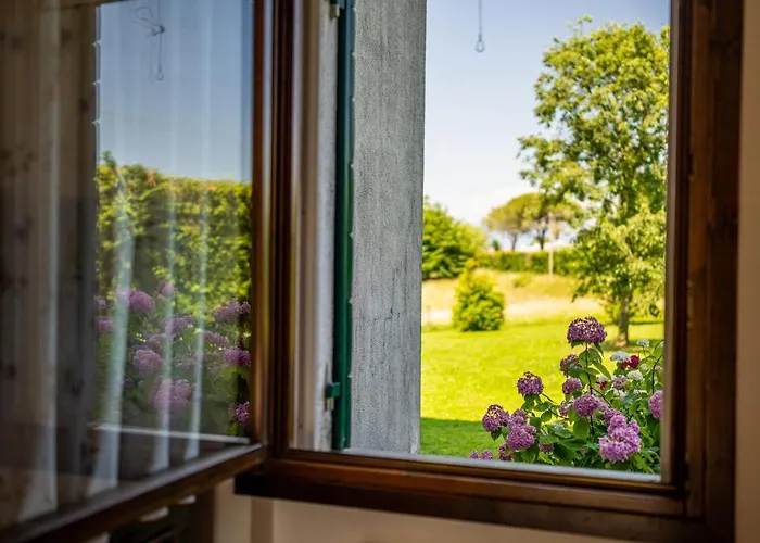 Gatto In Vigna Susegana