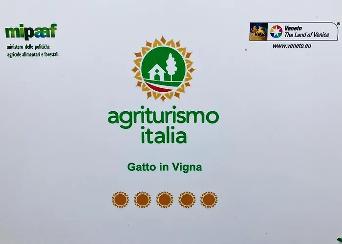 Feriehus Gatto In Vigna *