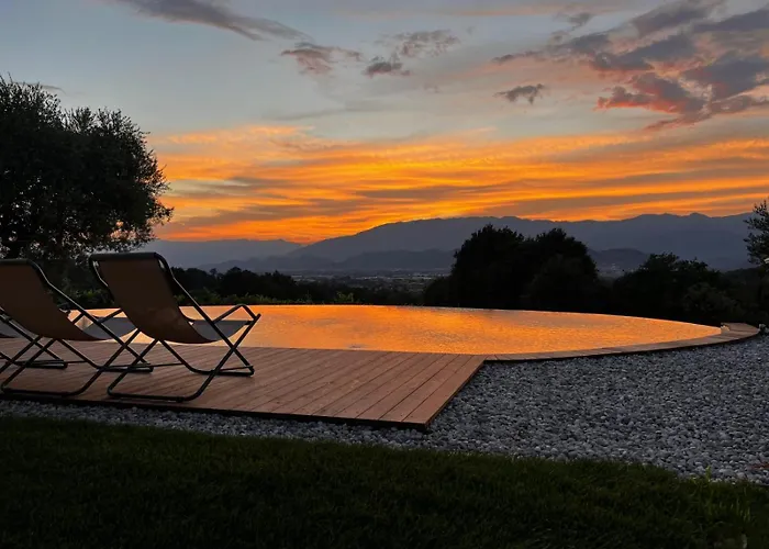 Gatto In Vigna * Susegana